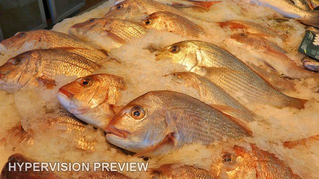 Whole Fish Arranged on Ice at a Seafood Display