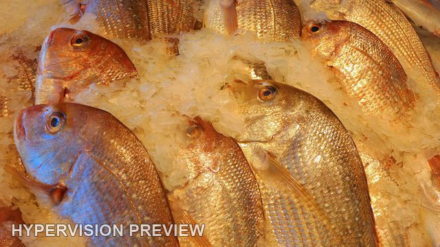 Close View of Fish Heads and Scales on Ice