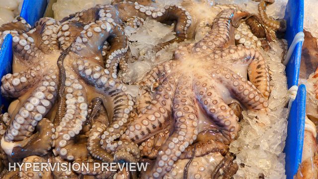 Octopus Tentacles on Crushed Ice