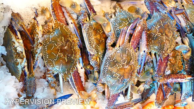 Crabs Packed Together on Ice