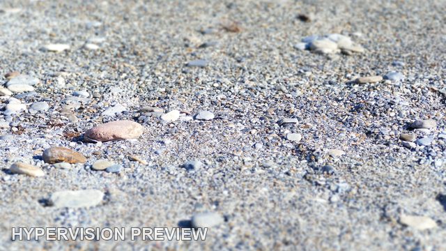 Abstract of Shell Fragments in Beach Sand