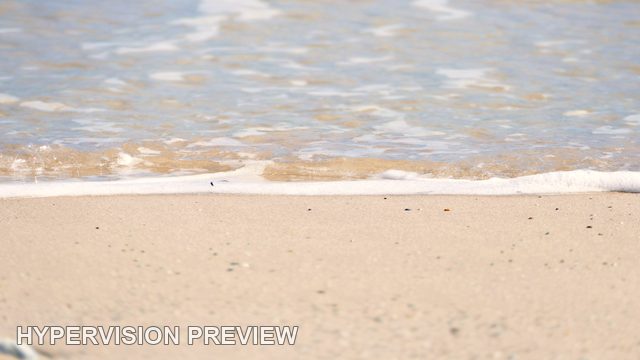 Abstract of a Thin Foam Line on Sand