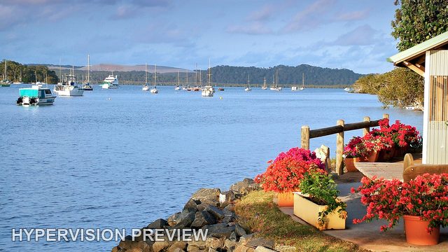 Flowers and Waterside Cottage on Karragarra Island