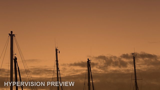 Abstract of Yacht Masts Against a Golden Sky