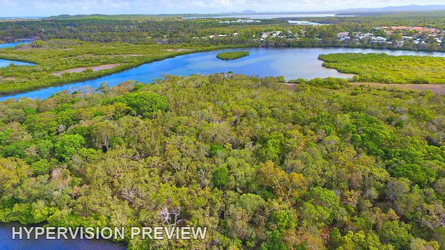Wooded Island and Surrounding Creek Channels