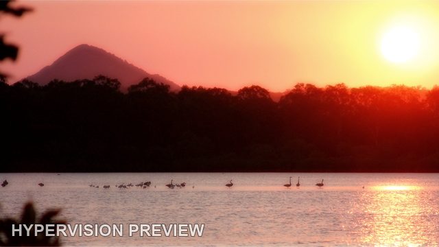 Setting Sun Beyond Riverbank Branches