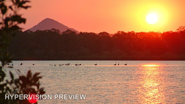 Wide Sunset River View with Overhanging Branches