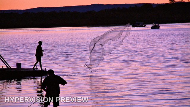 Casting a Net from a Jetty in Purple Light