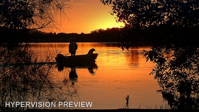 Small Dinghy Framed by Sunset Trees