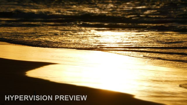 Golden Reflection Across Wet Shore Sand