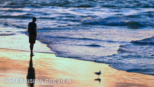 Silhouette and Shorebird in Blue and Purple