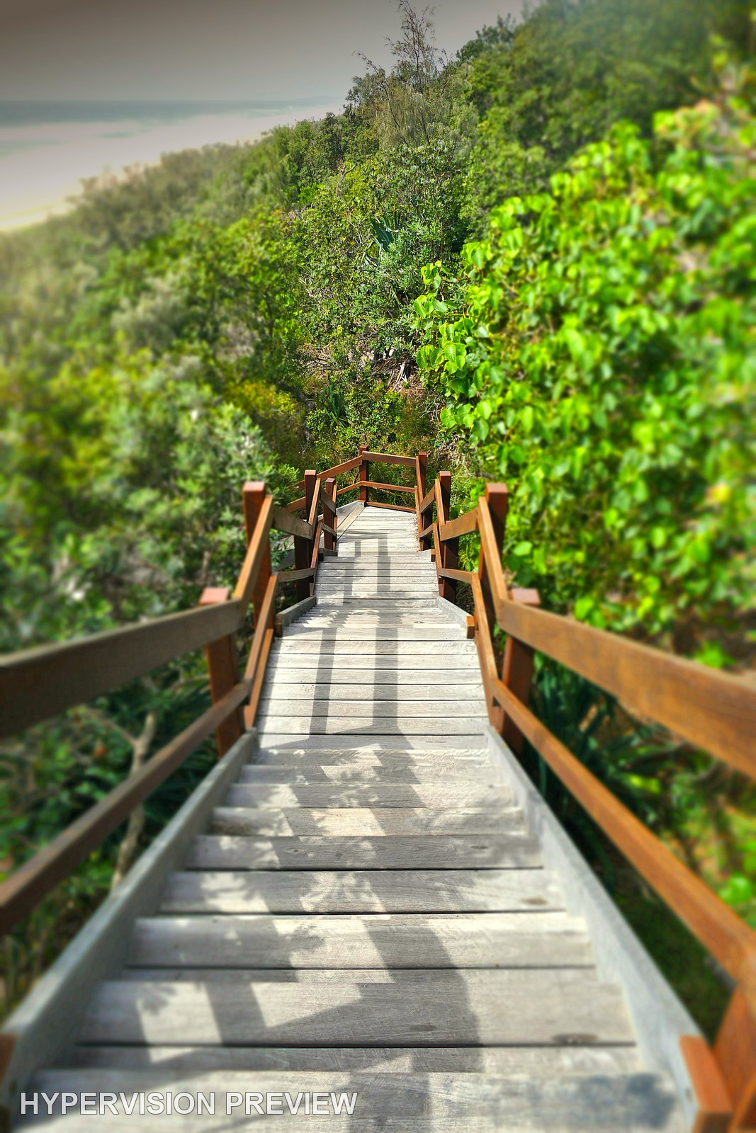 Portrait View down Sunshine Beach Access Steps