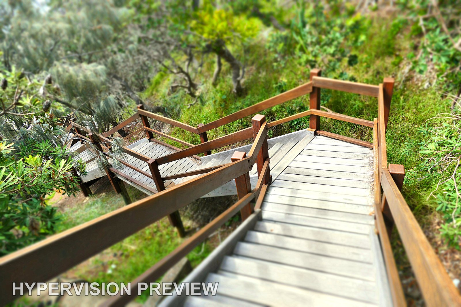 Turning Timber Staircase through Sunshine Beach Bushland