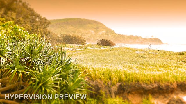 Abstract Version of Sunshine Beach Dunes in Amber Light