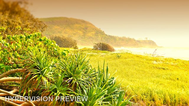 Sunshine Beach Vegetation in a Golden Colour Treatment