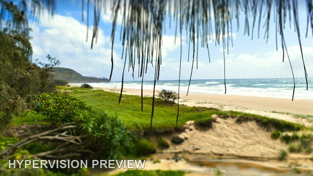 Sunshine Beach through Hanging Coastal Leaves