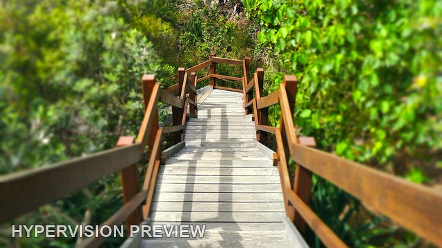 Portrait View down Sunshine Beach Access Steps
