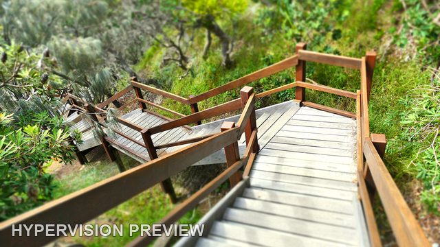 Turning Timber Staircase through Sunshine Beach Bushland