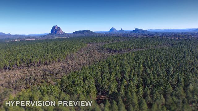 Aerial Forest Panorama towards the Glass House Mountains