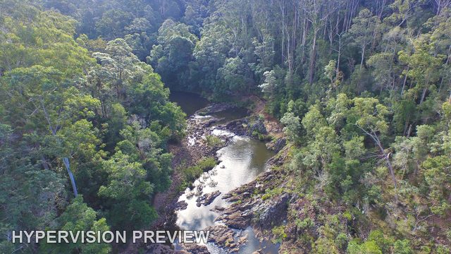 Wappa River Corridor through Dense Forest from Above