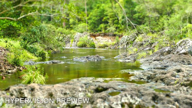 Quiet Wappa Pool beyond a Soft Rocky Foreground