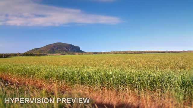 Mount Coolum beyond a Sunlit Rural Field