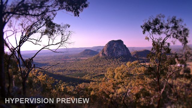 Mount Tibrogargan through Trees in a Purple Grade