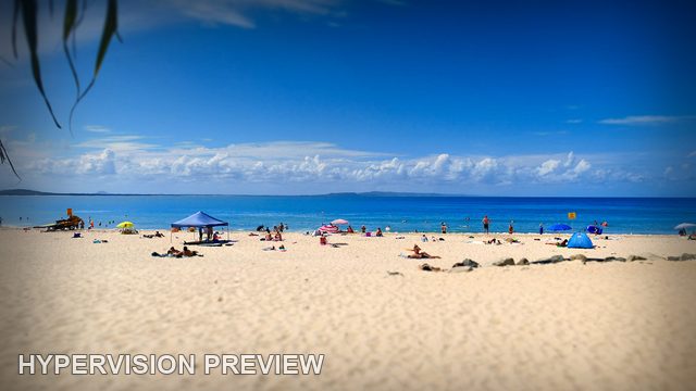 Open Sand and Blue Sea Beneath Hanging Leaves — Vignette Edit