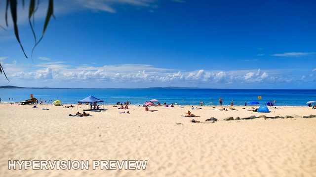Open Sand and Blue Sea Beneath Hanging Leaves