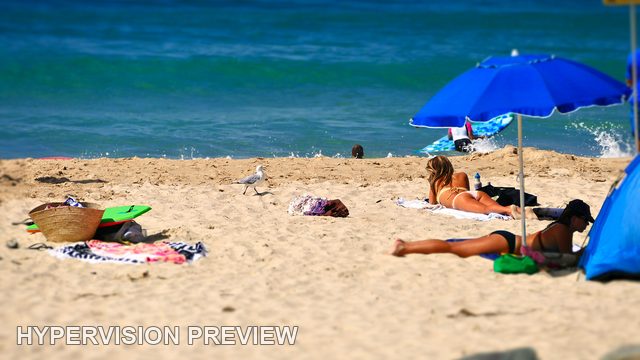 Blue Umbrella Above Resting Beachgoers