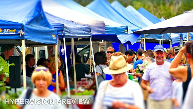 Shoppers Beneath Blue Farmers Market Gazebos