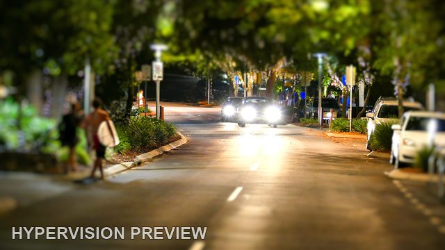 Headlights on a Tree-Lined Noosa Street at Night