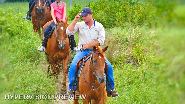 Horse Riders on a Green Coastal Track