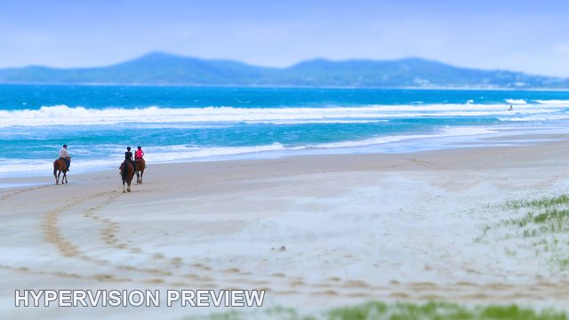 Horse Riders Along a Bright Blue Shoreline