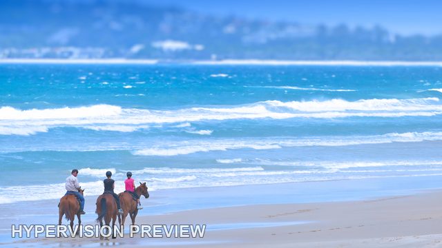 Three Riders Facing the Ocean on Horseback