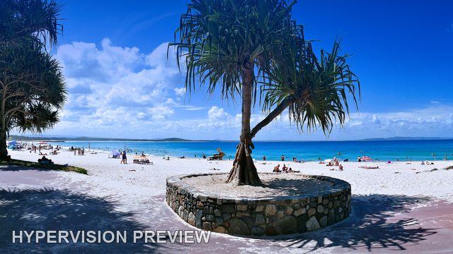 Panoramic Beach Access Beneath Coastal Trees — Cool Blue Edit