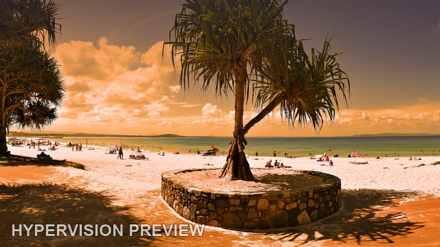 Panoramic Beach Access Beneath Coastal Trees — Warm Edit