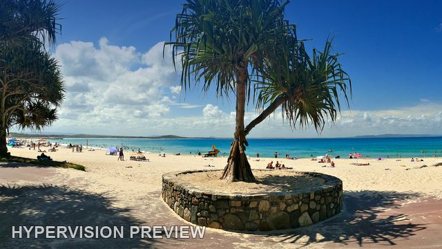 Panoramic Beach Access Beneath Coastal Trees