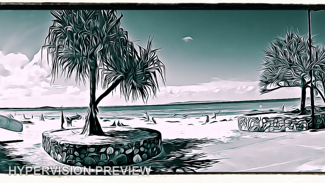 Wide Beachfront Promenade and Pandanus Trees — Vintage Framed Edit