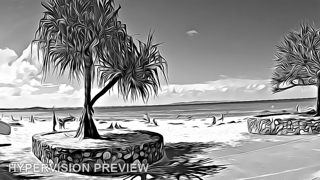 Wide Beachfront Promenade and Pandanus Trees — Black and White