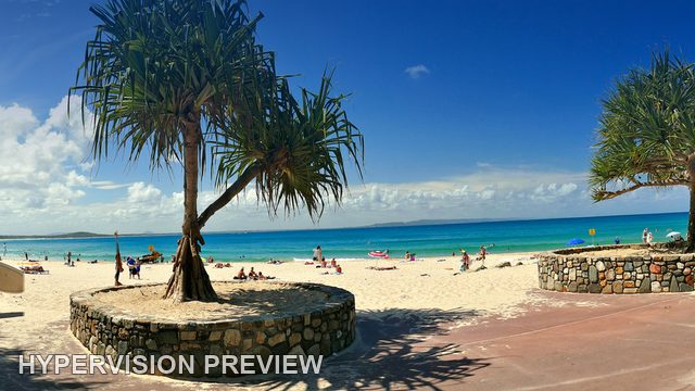 Wide Beachfront Promenade and Pandanus Trees