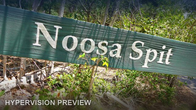 Noosa Spit Timber Sign