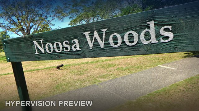 Noosa Woods Sign Beside a Park Path