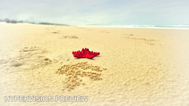 Red Starfish on a Bright Soft-Toned Beach