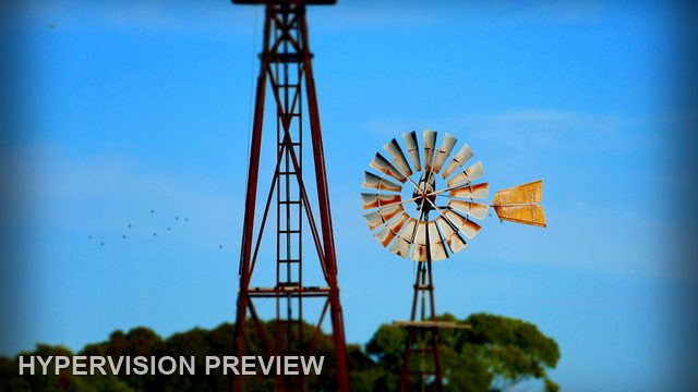 Two Windmill Towers Above Green Treetops