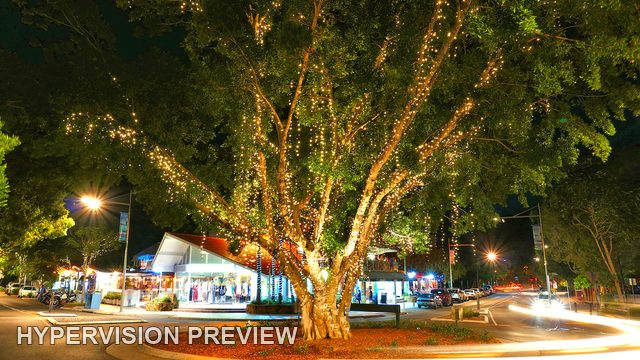 Fairy-Lit Street Tree with Night Light Trails