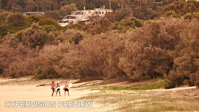 Two Surfers on Sand Below Coastal Scrub